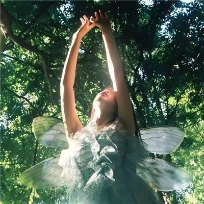 少年泰坦出击第八季